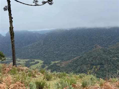 Fazenda S Tio M Em Zona Rural Em Urubici Por R