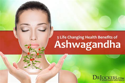 3 Life Changing Health Benefits Of Ashwagandha Herbs For Health