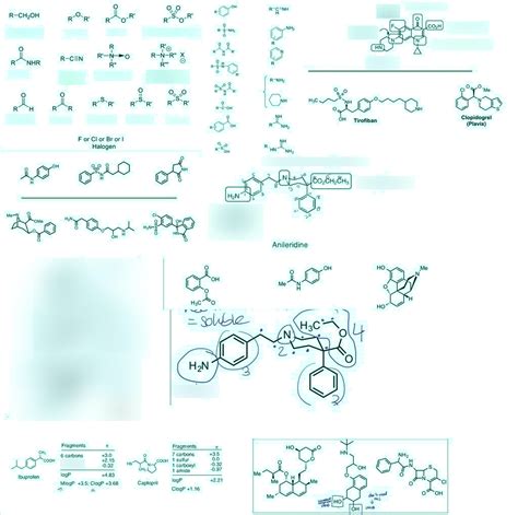 Biochem Functional Groups Diagram Quizlet