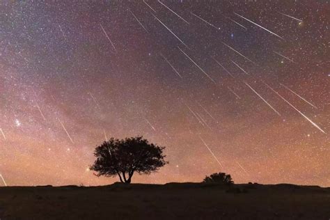 Tengoklah Langit Pada 23 Desember Malam Ada Puncak Hujan Meteor Ursid