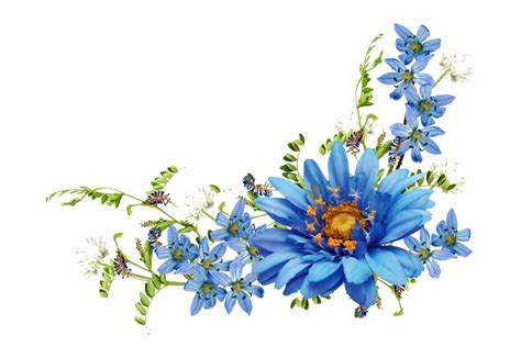 Blue Flower PNG PNG All