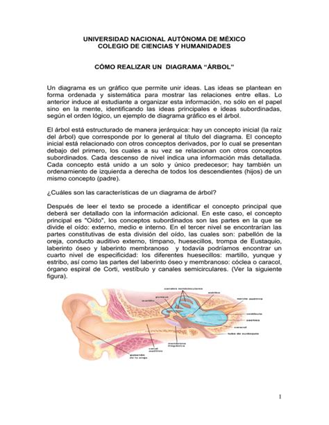 Diagrama “Árbol” Portal Académico Del Cch