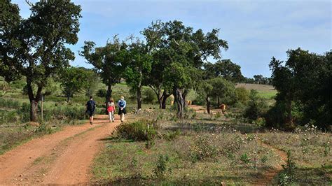 Conhe A Os Novos Caminhos De Santiago No Alentejo Em Portugal