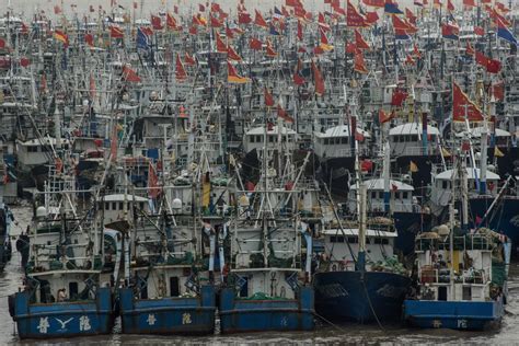 How China Targets The Global Fish Supply The Japan Times