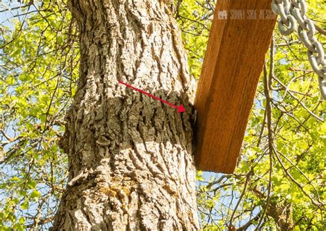 How To Hang A Tree Swing Without A Branch Sunny Side Design Tree