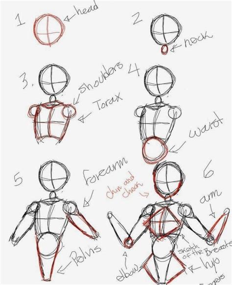 How To Draw Female Figures Draw Female Bodies Step By Step Drawing