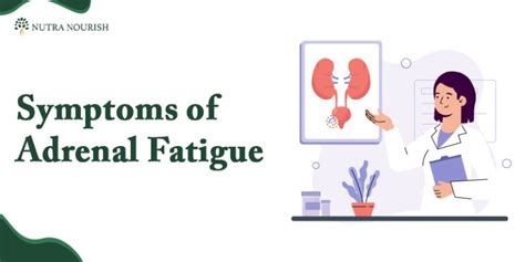 Adrenal Fatigue Symptoms Causes And Holistic Treatment