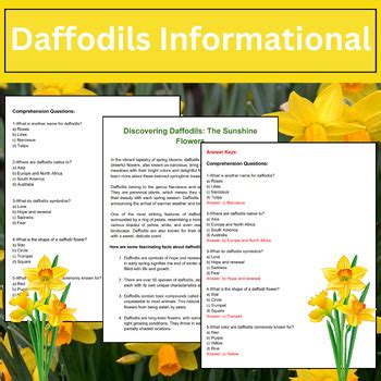 Daffodils Reading Comprehension Passage And Questions Worksheet Spring