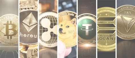 Cryptocurrency Explained Beginners Guide Coimex Blog