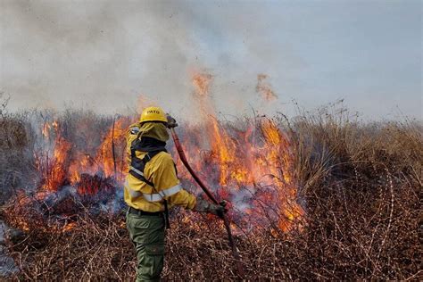 Brenda Austin “cabandié Es El Gran Responsable De Los Incendios En El