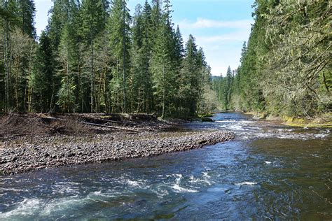 Lewis River Photograph by David Yunker