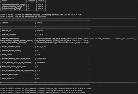 How To Support Different Models With Different Tensor Para Size