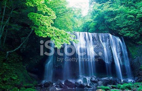 Japanese Waterfall Stock Photo Royalty Free Freeimages