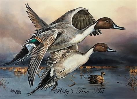 Duck Art Print Northern Pintails 5 X 7 Inch Giclee By Wildlife Artist