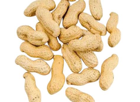 Ground Nuts Raw Dried Variety 100 Pure Vegetarian Snack Highly