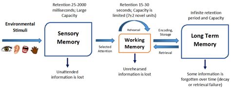 Human Memory Diagram