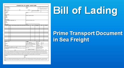 Bill Of Lading Detailed Information On B L And Checks To Be Made By