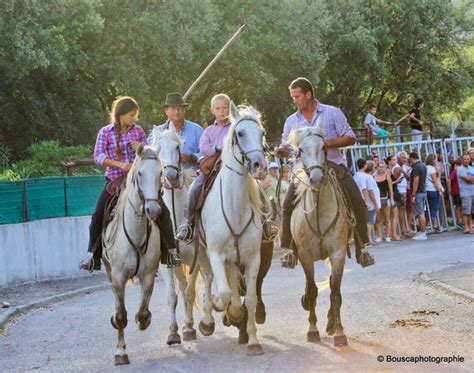 Manade Vellas Et Les Traditions Camarguaises Domaine Mas Du Pont