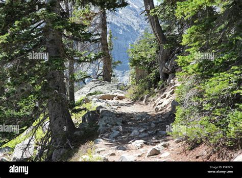 Rocky Mountain National Park in Colorado, USA. Hiking trail path Stock Photo - Alamy