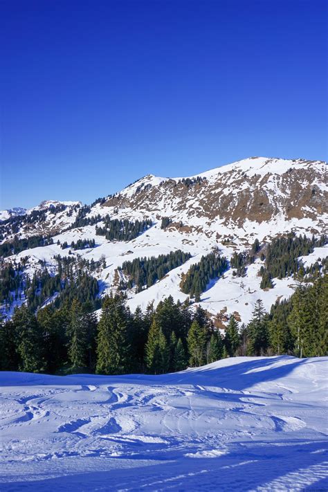 Les Monts Chevreuils Destination Montagne