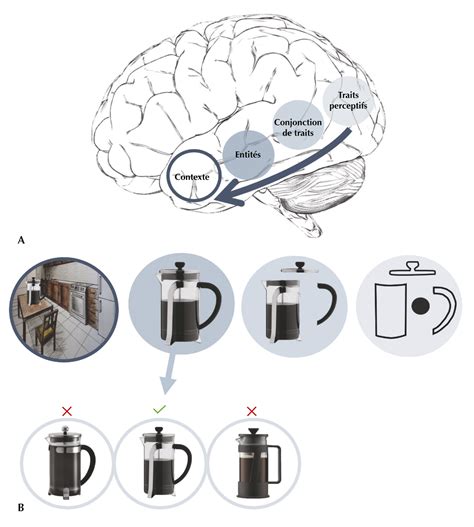 JLE Revue de neuropsychologie Approche représentationnelle de la