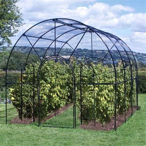 Hardscaping 101 Fruit Cages Gardenista