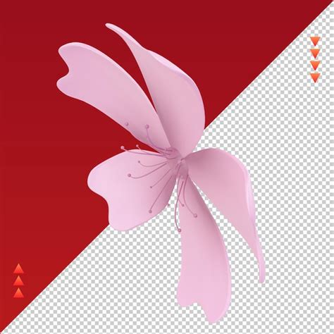 Premium Psd 3d Chinese New Year Sakura Icon Rendering Right View