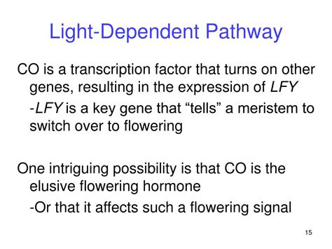 Ppt Plant Reproduction Powerpoint Presentation Free Download Id27616