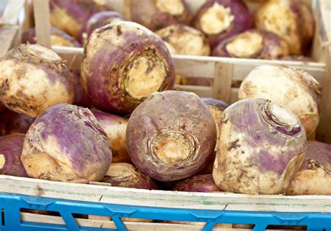 What Rutabaga Tastes Like And Why You Should Add It To Your Mashed Potatoes