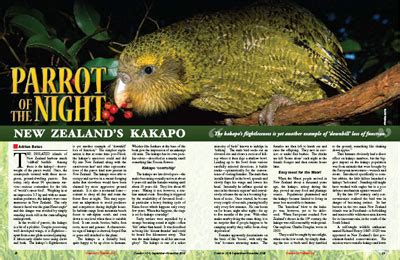 Kakapo