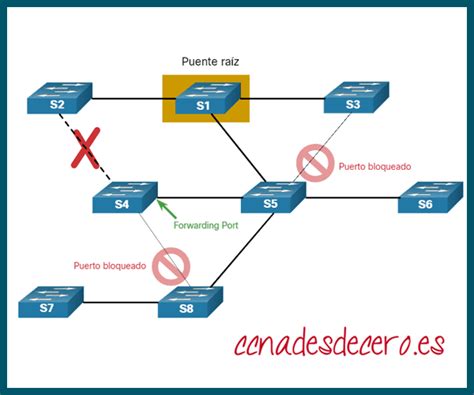 Propósito de STP CCNA desde Cero