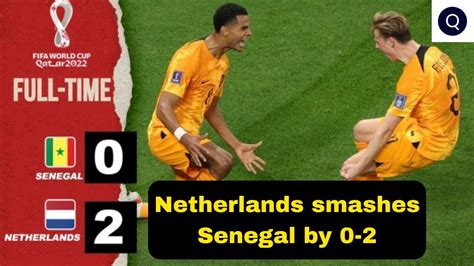 Senegal Vs Netherlands FIFA World Cup 2022 Live Score Gakpo Klaassen