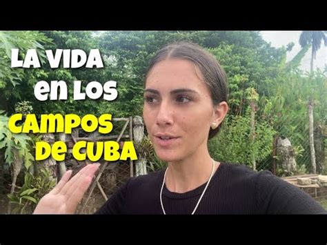 As Es La Vida En Los Campos De Cuba Un D A En La Casita De Mi