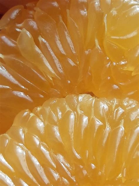 720 Yellow Ideas In 2025 Yellow Aesthetic Yellow Shades Of Yellow