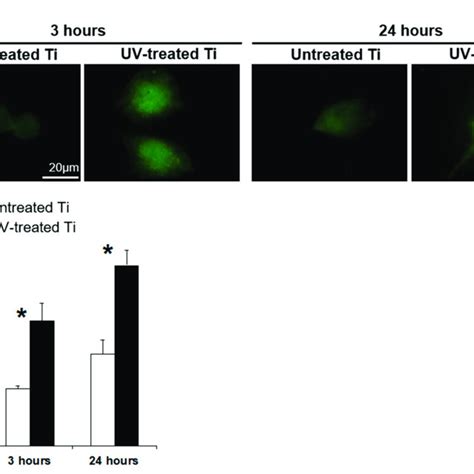 Protein expression of hemidesmosome related protein integrin β4 a