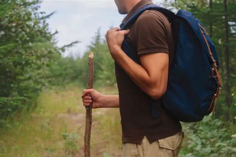 How To Use A Walking Stick When Hiking Top Hiking Trails