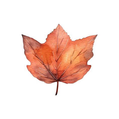 Premium Vector Watercolor Autumn Leaves