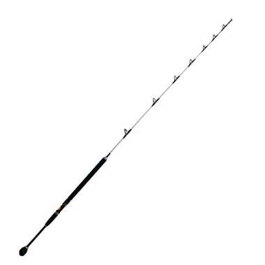 7 Best Tuna Rods In 2022 | Reviewed by Fishing Enthusiasts - Globo Surf