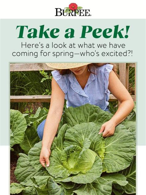 Burpee Gardening A Sneak Peek At Spring Milled