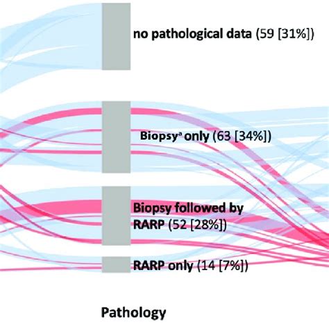 Sankey Diagram Showing Histopathological Follow Up Data Stratified By Download Scientific