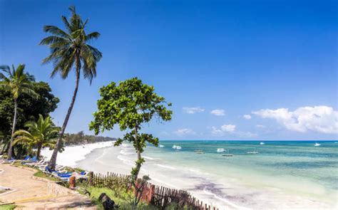 Top 5 Activities To Enjoy Near Diani Beach