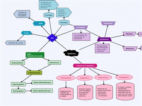 GENÉTICA Mind Map