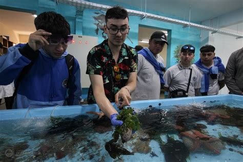 Dichato recibirá cuarta versión del Carnaval de la Biodiversidad Marina