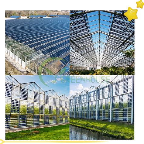 Supply Multi Span Venlo Commercial Solar Greenhouse Wholesale Factory