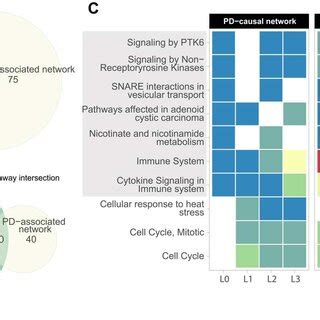 Ppi Networks Seeded With Pd Causal Genes And Associated Gwas Snps