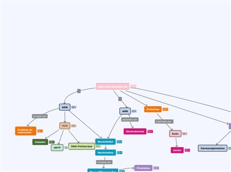 Biologi Molecular Mind Map