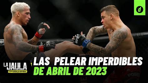 Estas Son Las PRINCIPALES Peleas De ARTES MARCIALES Mixtas En Abril De