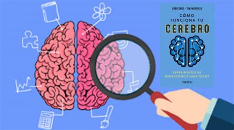 Cómo Funciona Tu Cerebro Libros Por El Mundo