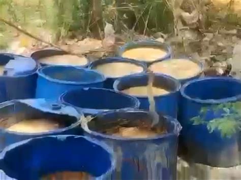 Jaggery Worth Rs 16 Lakh Was Destroyed By Raiding The Poor S Camp 10 Liters Of Raw Liquor