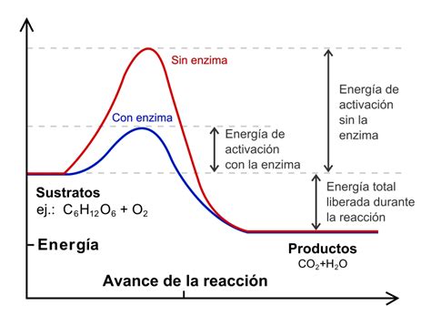 Cinética Química Factores Orden De Reacción Y Aplicaciones